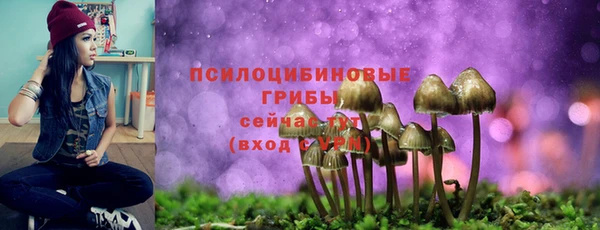 2c-b Заволжье