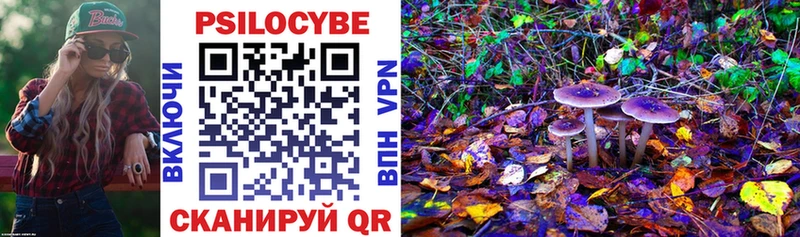 Галлюциногенные грибы Psilocybine cubensis Воркута