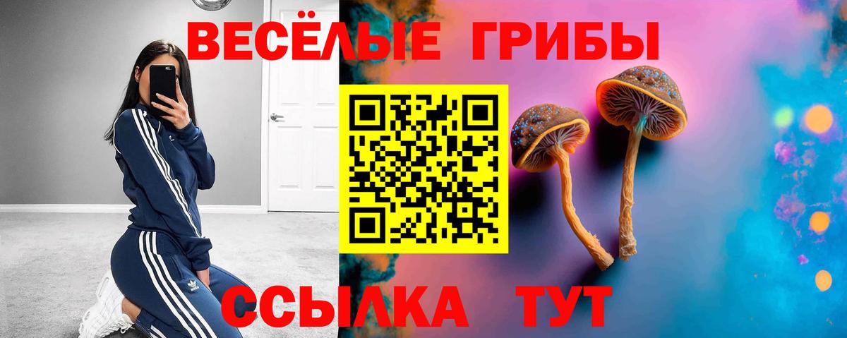 Псилоцибиновые грибы Cubensis Воркута